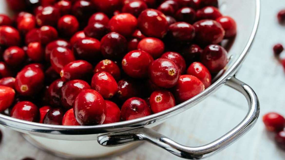 Benefits of Cranberries For Holistic Health